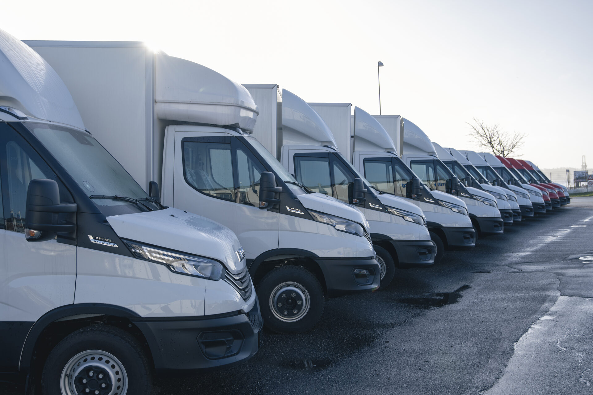 Flåde af hvide varevogne til udlejning